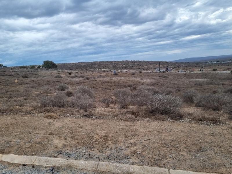 0 Bedroom Property for Sale in Saldanha Rural Western Cape